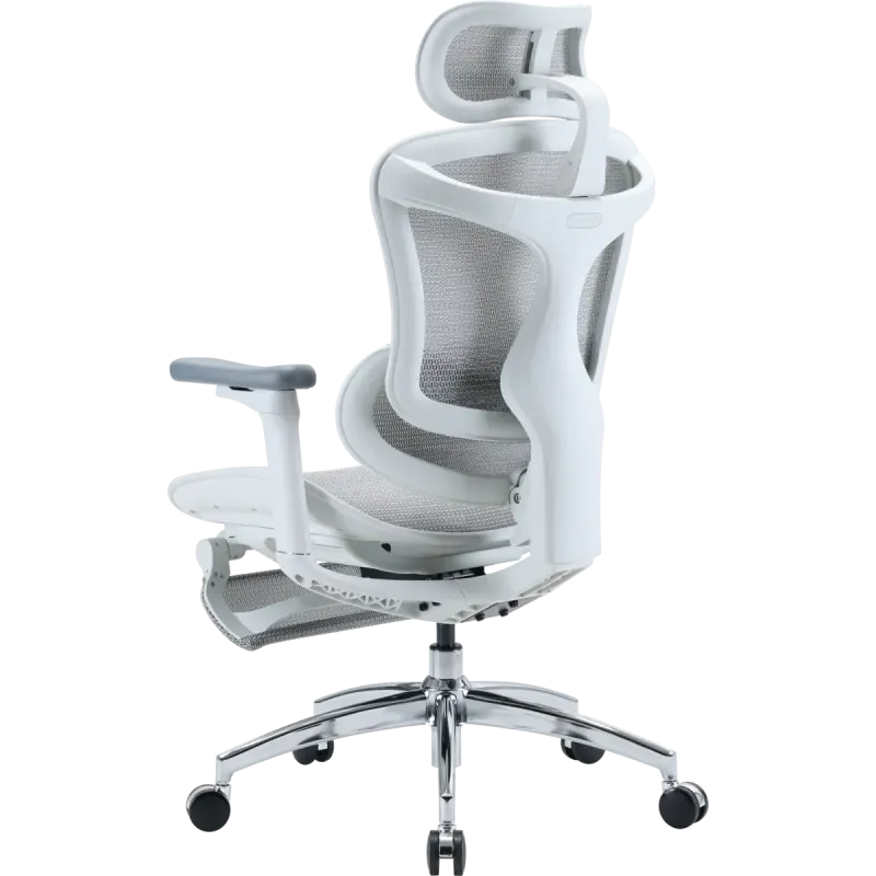 Крісло SIHOO Doro C300L with Footrest White (DORO-C300L-A3-102-JT)