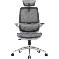 Крісло Sihoo M59AS Mesh Gray (M59AS-M301)