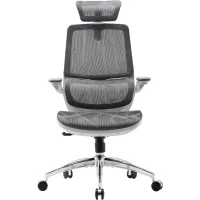 Кресло Sihoo M59AS Mesh Gray (M59AS-M301)