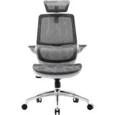 Крісло Sihoo M59AS Mesh Gray (M59AS-M301)