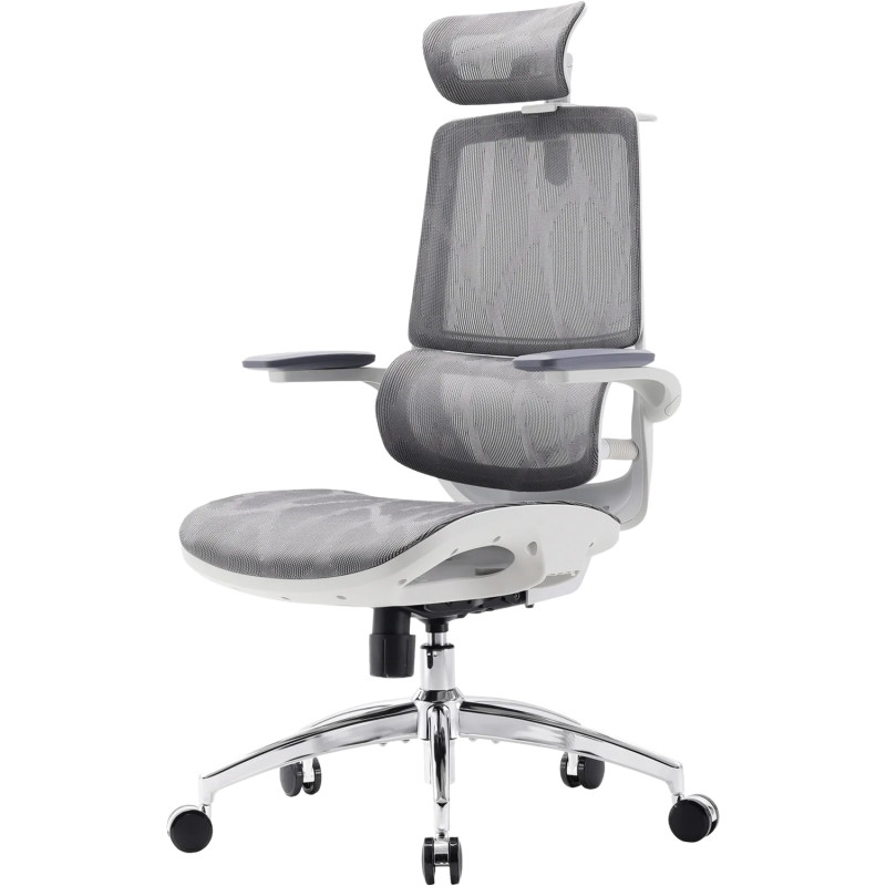 Крісло Sihoo M59AS Mesh Gray (M59AS-M301)