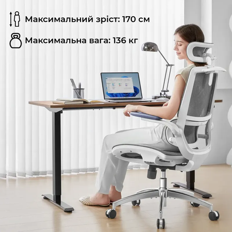 Крісло Sihoo M59AS Mesh Gray (M59AS-M301)