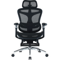 Крісло Sihoo DORO C300 Pro Mesh Black with footrest (DORO-C300-PRO-M101-JT)