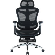 Крісло Sihoo DORO C300 Pro Mesh Black with footrest (DORO-C300-PRO-M101-JT)