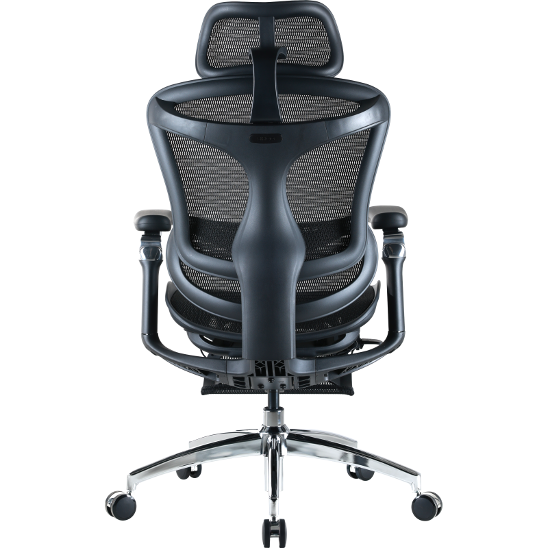 Крісло Sihoo DORO C300 Pro Mesh Black with footrest (DORO-C300-PRO-M101-JT)