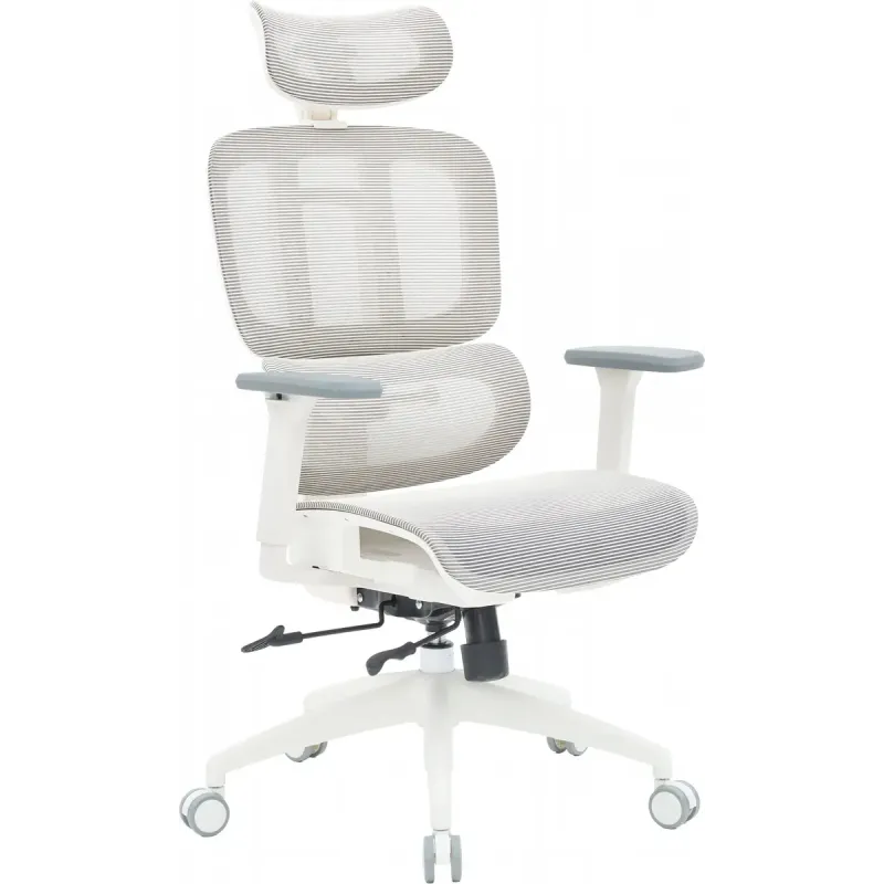 Крісло OfficePro Skyline OC680-W-LG-LG White/Light Gray