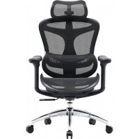 Крісло SIHOO DORO C300L Mesh Black (DORO-C300L-A3-101)