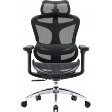 Крісло SIHOO DORO C300L Mesh Black (DORO-C300L-A3-101)