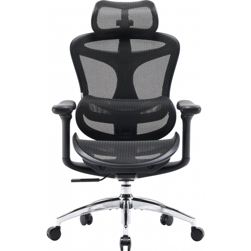 Крісло SIHOO DORO C300L Mesh Black (DORO-C300L-A3-101)