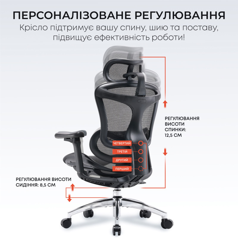 Крісло SIHOO DORO C300L Mesh Black (DORO-C300L-A3-101)