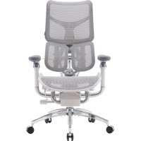 Кресло SIHOO DORO S300 Mesh Light Grey (S300-M202)