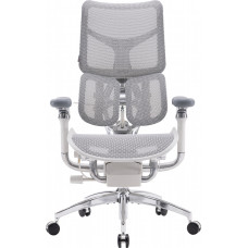 Крісло SIHOO DORO S300 Mesh Light Grey (S300-M202)