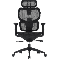 Canyon Ventra MOCH01 Mesh Black (CNS-MOCH01)