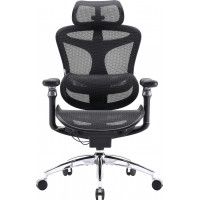 Кресло SIHOO DORO C300 Pro Mesh Black (DORO-C300-PRO-M101)