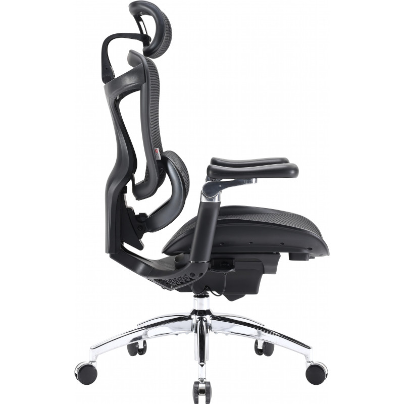 Крісло SIHOO DORO C300 Pro Mesh Black (DORO-C300-PRO-M101)