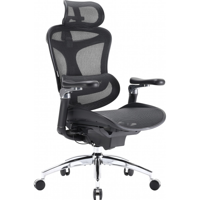 Крісло SIHOO DORO C300 Pro Mesh Black (DORO-C300-PRO-M101)