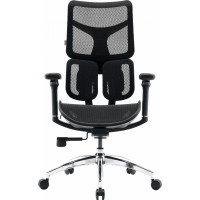 Крісло SIHOO DORO S100 Mesh Black (S100-M301)