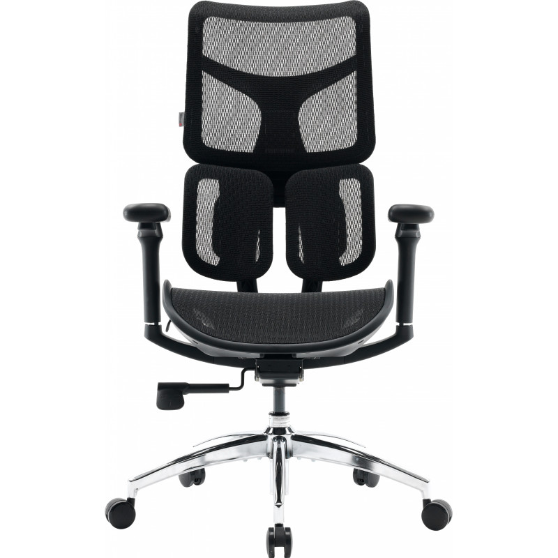 Крісло SIHOO DORO S100 Mesh Black (S100-M301)