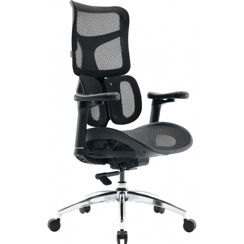 Крісло SIHOO DORO S100 Mesh Black (S100-M301)