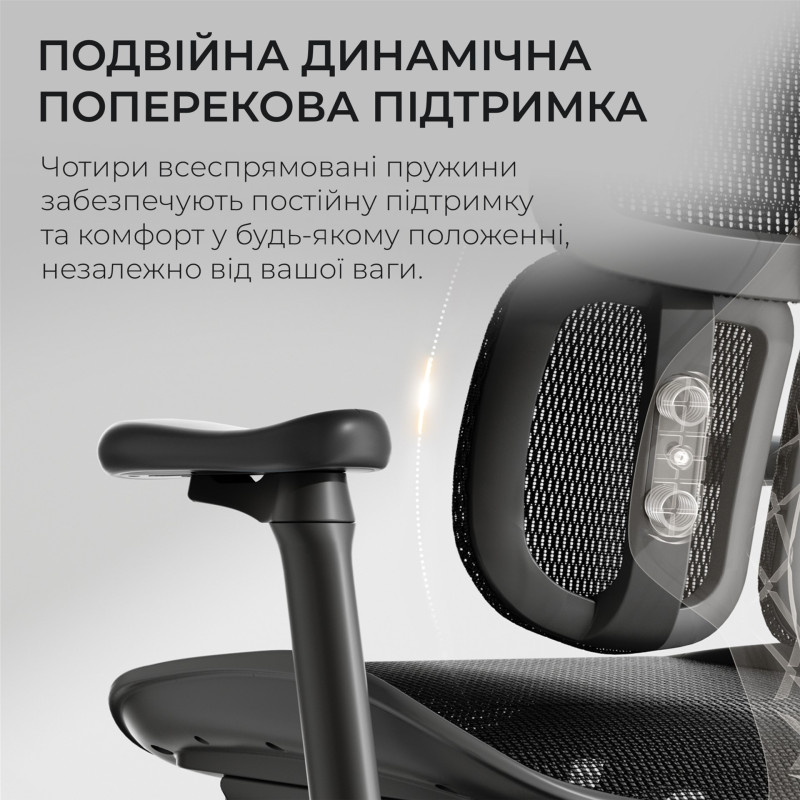 Крісло SIHOO DORO S100 Mesh Black (S100-M301)