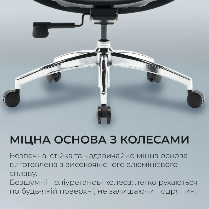 Крісло SIHOO DORO S100 Mesh Black (S100-M301)