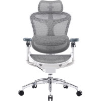 Крісло SIHOO DORO C300 Pro Mesh White (DORO-C300-PRO-M102)