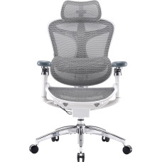 Крісло SIHOO DORO C300 Pro Mesh White (DORO-C300-PRO-M102)