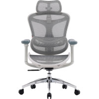Крісло SIHOO DORO C300L Mesh White (DORO-C300L-A3-102)