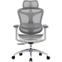 Кресло SIHOO DORO C300L Mesh White (DORO-C300L-A3-102)