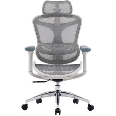 Крісло SIHOO DORO C300L Mesh White (DORO-C300L-A3-102)