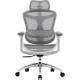 Крісло SIHOO DORO C300L Mesh White (DORO-C300L-A3-102)