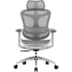 Крісло SIHOO DORO C300L Mesh White (DORO-C300L-A3-102)