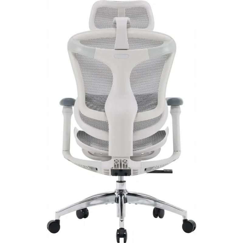 Крісло SIHOO DORO C300L Mesh White (DORO-C300L-A3-102)