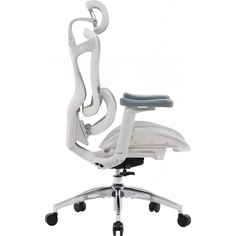 Крісло SIHOO DORO C300L Mesh White (DORO-C300L-A3-102)