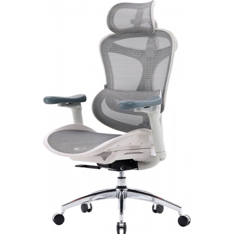 Крісло SIHOO DORO C300L Mesh White (DORO-C300L-A3-102)