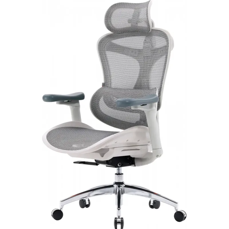 Крісло SIHOO DORO C300L Mesh White (DORO-C300L-A3-102)