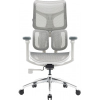 Крісло SIHOO DORO S100 Mesh White (S100-M302)