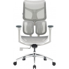 Крісло SIHOO DORO S100 Mesh White (S100-M302)