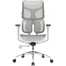Крісло SIHOO DORO S100 Mesh White (S100-M302)
