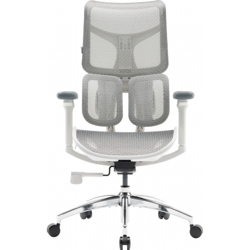 Крісло SIHOO DORO S100 Mesh White (S100-M302)
