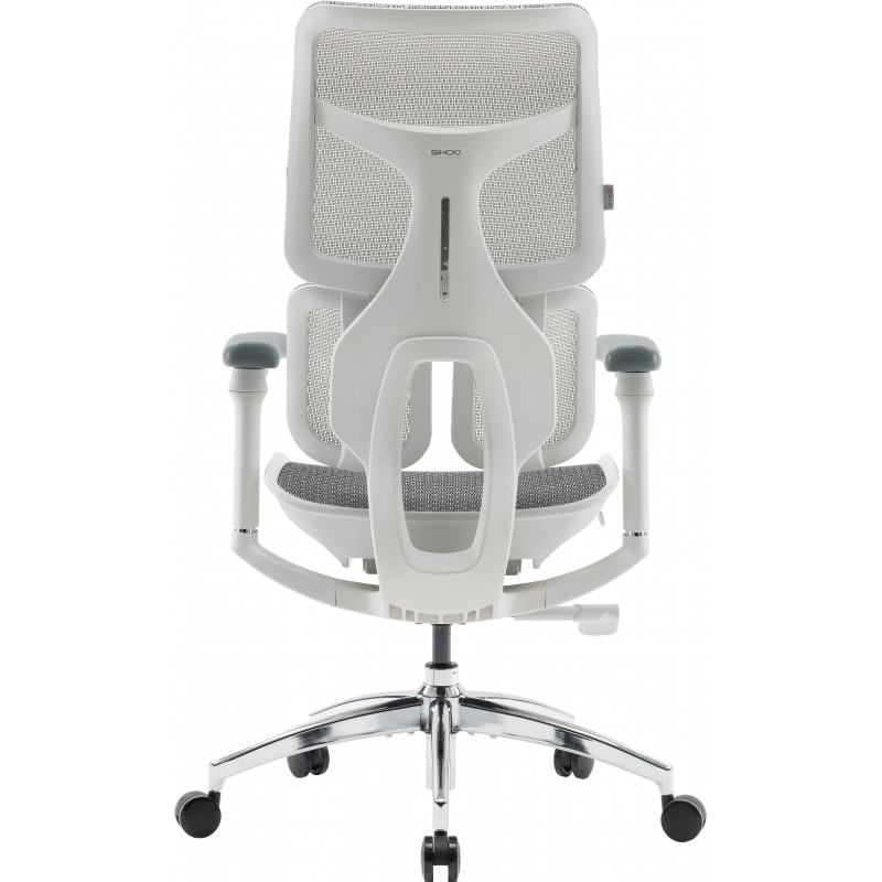 Крісло SIHOO DORO S100 Mesh White (S100-M302)