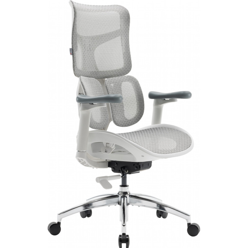 Крісло SIHOO DORO S100 Mesh White (S100-M302)