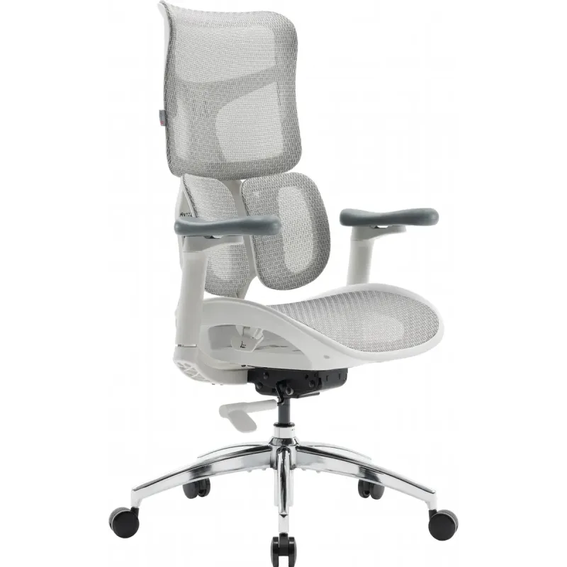 Крісло SIHOO DORO S100 Mesh White (S100-M302)