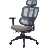 Крісло OfficePro Skyline OC580-B-DG-DG Black/Dark Gray