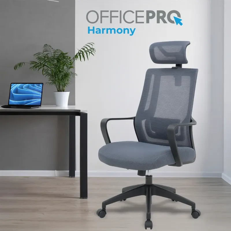 Кресло OfficePro Harmony OC310-B-G-G Black/Gray