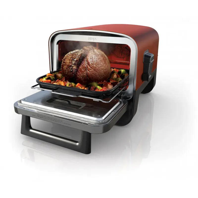 NINJA Woodfire OO101EU