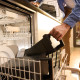 Мультипіч Braun TD 5053 IBK