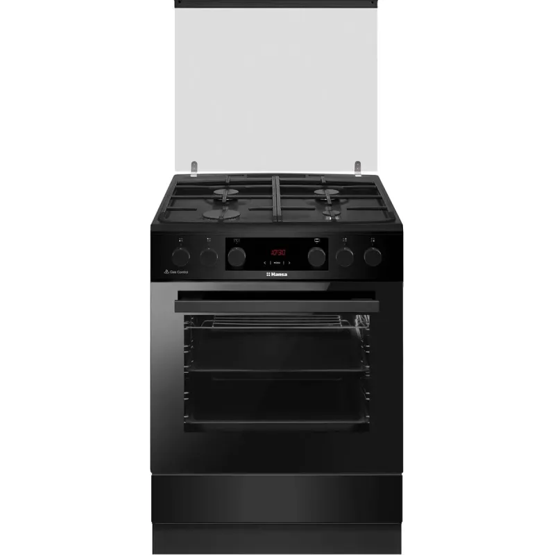 Кухонная плита Hansa FCMX69329