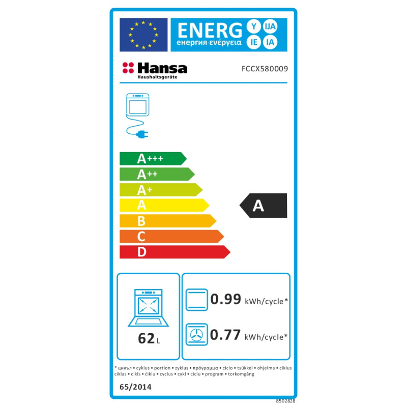 Кухонная плита Hansa FCCX580009