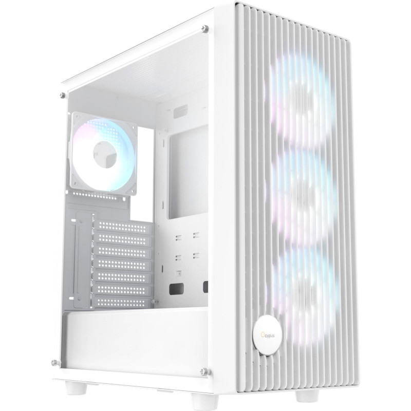 Корпус OCYPUS GAMMA-C70-WHG400XX-GL